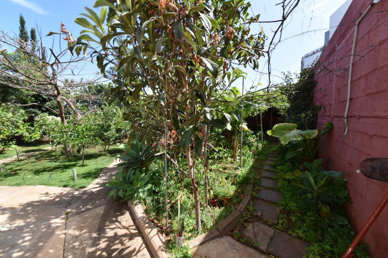 Casa El Tonelero Con Jardin Y Piscina Privada Villa Gáldar Buitenkant foto