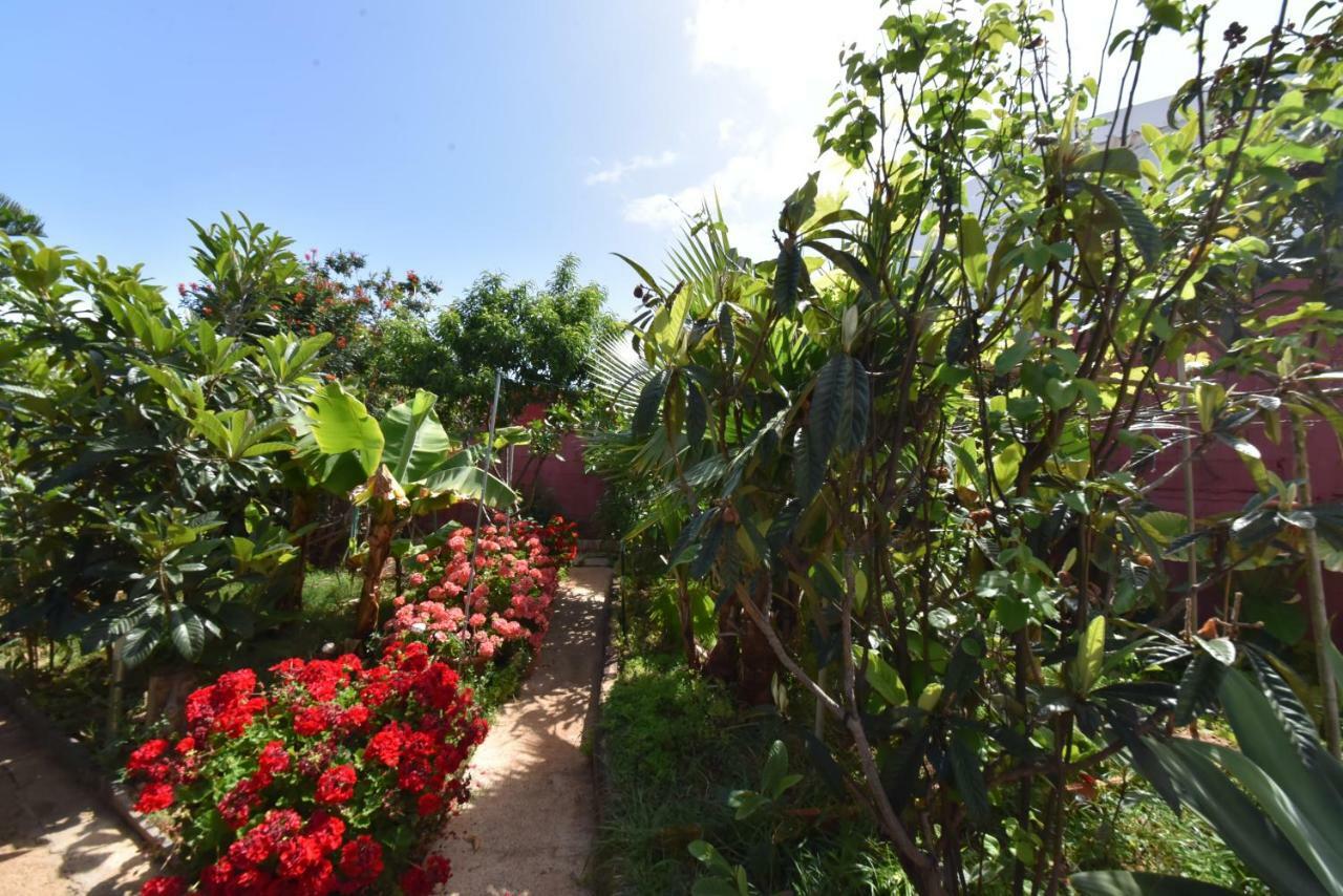 Casa El Tonelero Con Jardin Y Piscina Privada Villa Gáldar Buitenkant foto